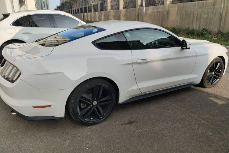 Used Ford Mustang 2015 2.3T 50th Anniversary Edition Right Side