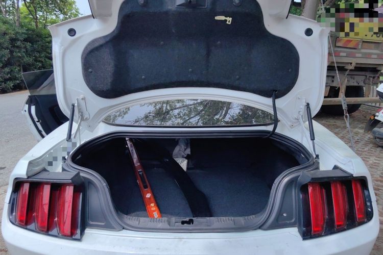 Used Ford Mustang  Trunk