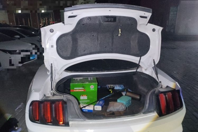 Used Ford Mustang 2015 2.3T Performance Edition Trunk