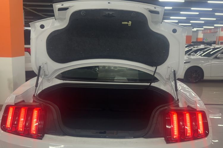 Used Ford Mustang 2015 2.3T 50th Anniversary Edition Trunk