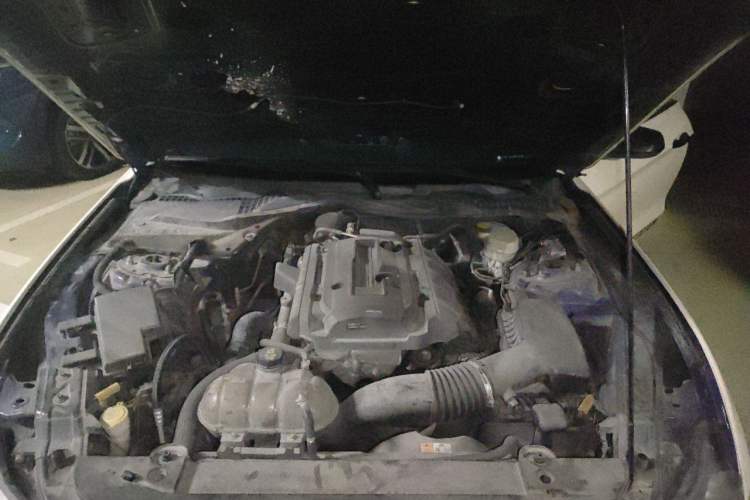 Used Ford Mustang 2015 2.3T Performance Edition Engine Bay
