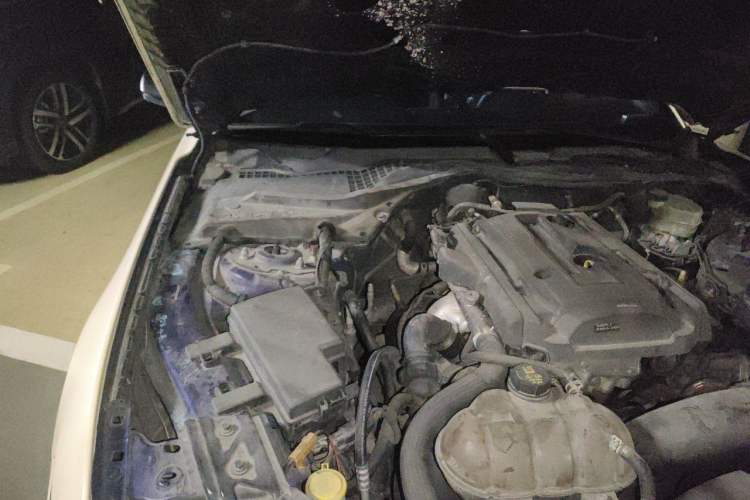 Used Ford Mustang 2015 2.3T Performance Edition Engine Bay Right