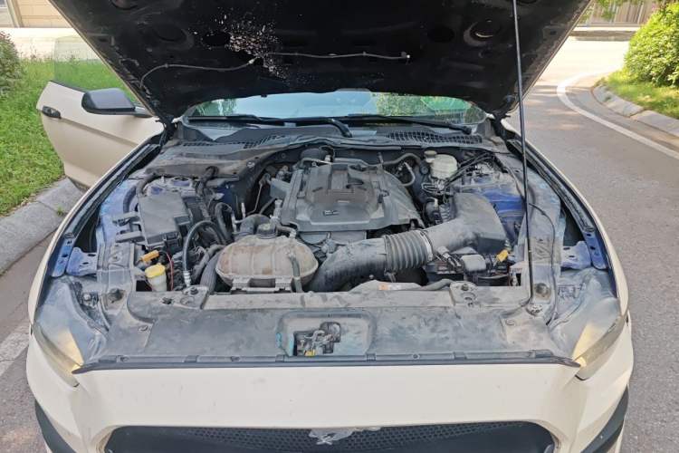 Used Ford Mustang 2015 2.3T Performance Edition Engine Bay