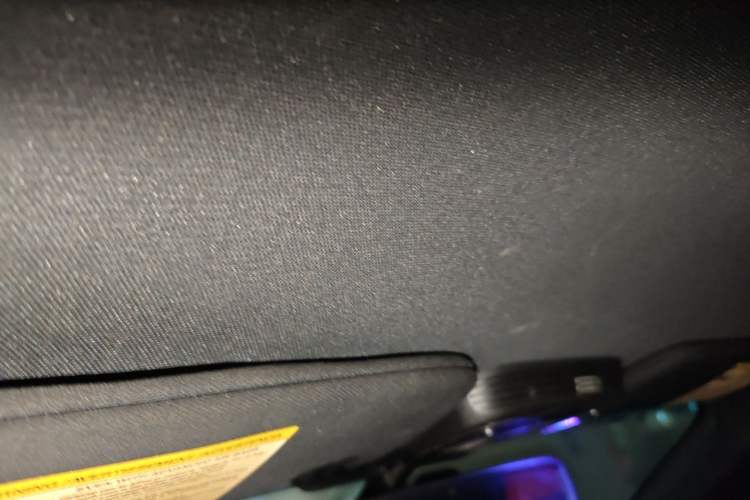 Used Ford Mustang 2015 2.3T Performance Edition Headliner