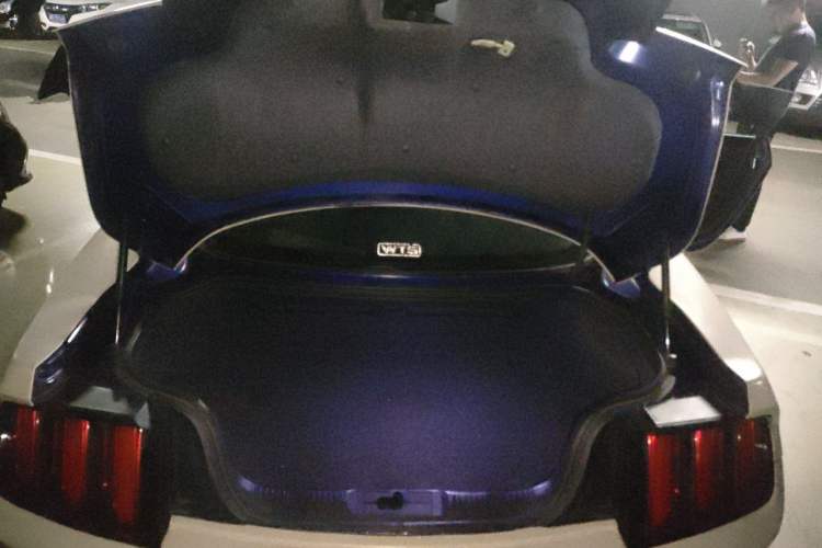 Used Ford Mustang 2015 2.3T Performance Edition Trunk
