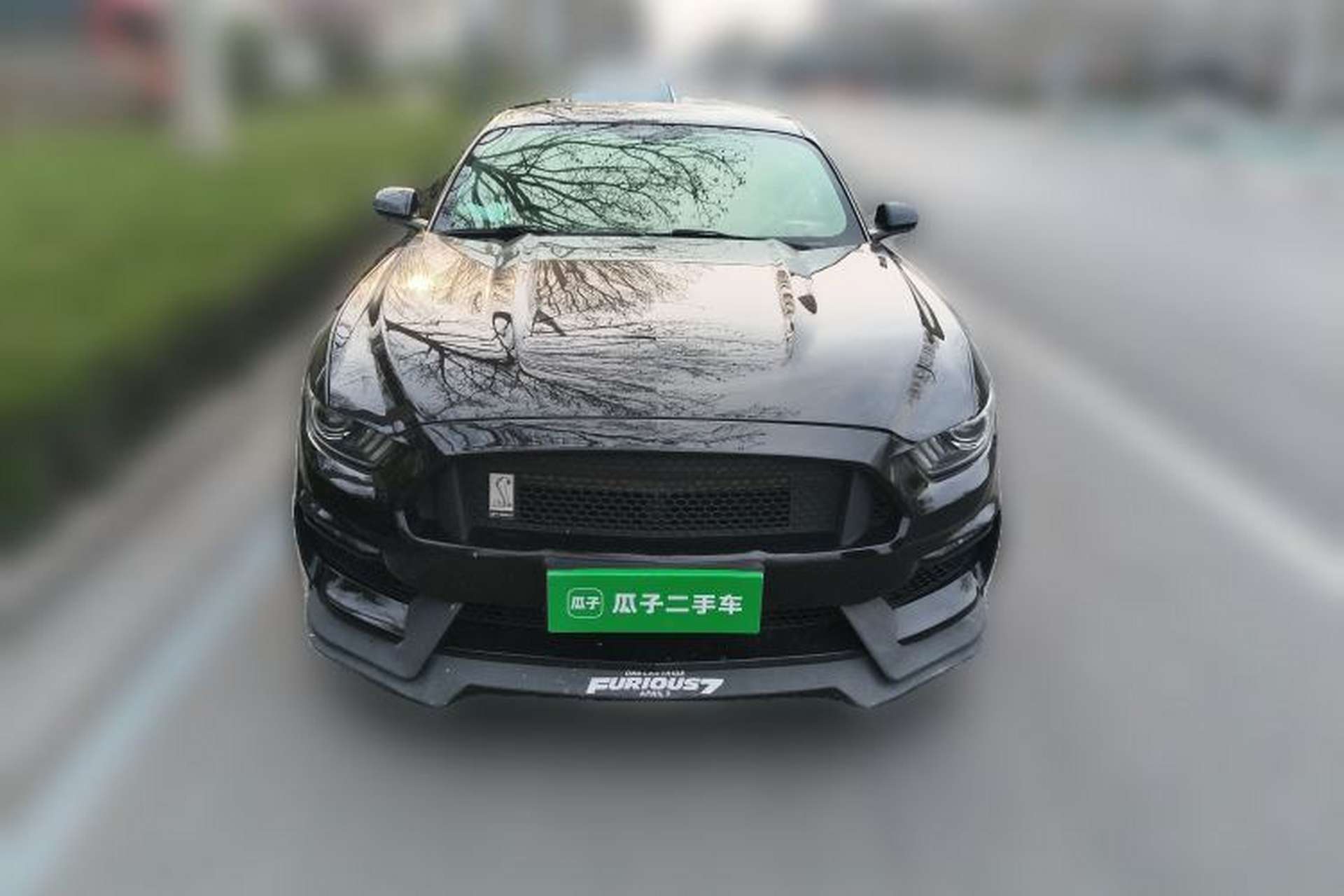 Used Ford Mustang 2016 2.3T Automatic Hardtop P-Version U.S. Specification Front