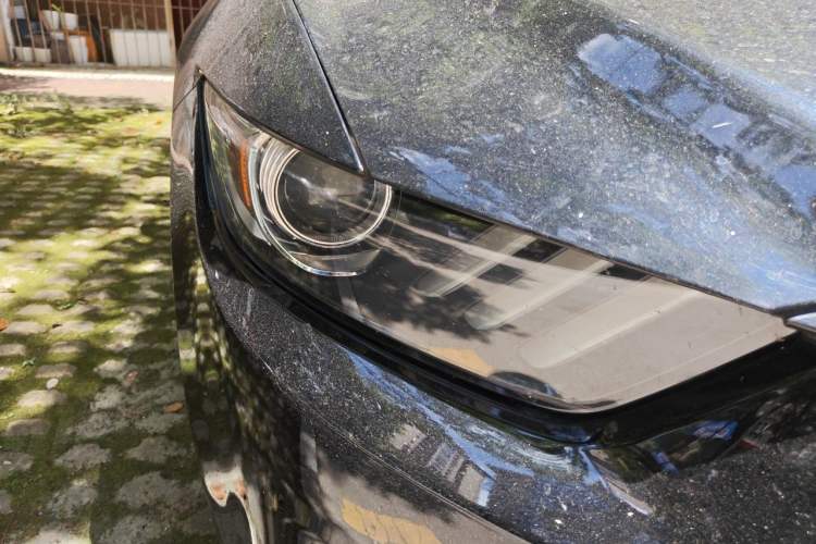 Used Ford Mustang  Right Front Headlight