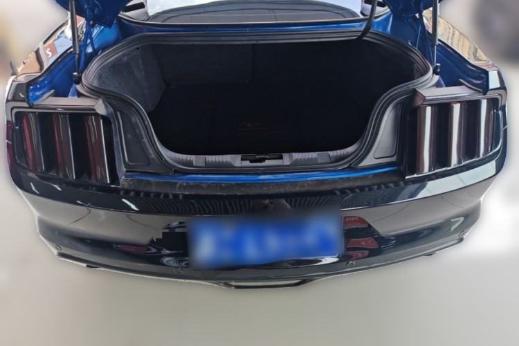 Used Ford Mustang  Trunk