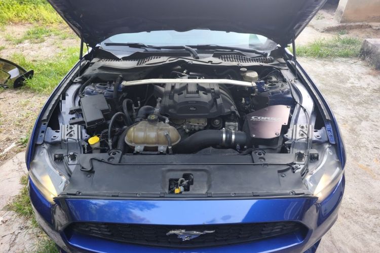 Used Ford Mustang  Engine Bay