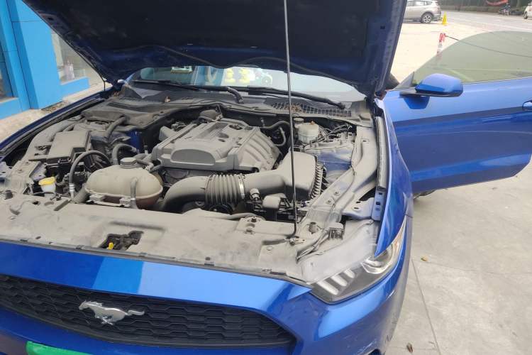 Used Ford Mustang  Engine Bay Left