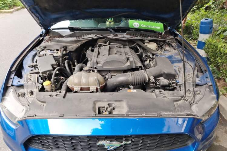 Used Ford Mustang 2016 2.3T Performance Edition Engine Bay