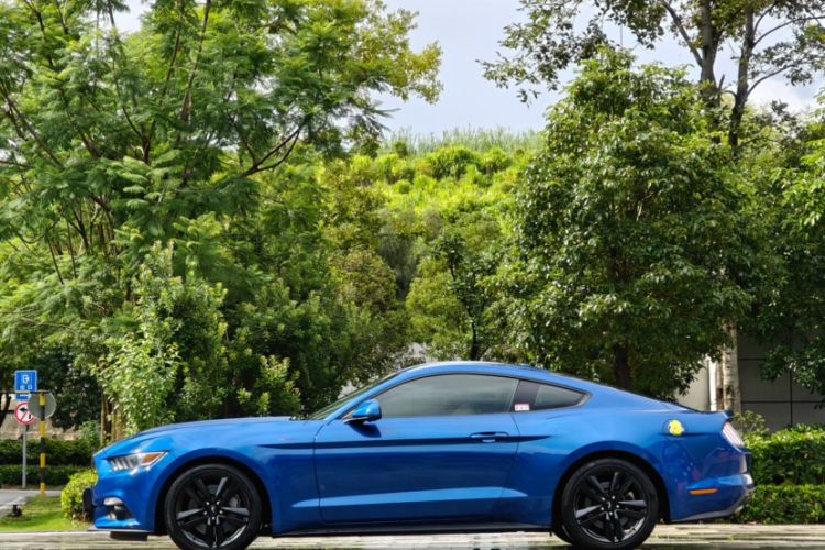 Used Ford Mustang 2016 2.3T Performance Edition Exterior 1