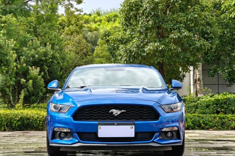 Used Ford Mustang 2016 2.3T Performance Edition Exterior 3