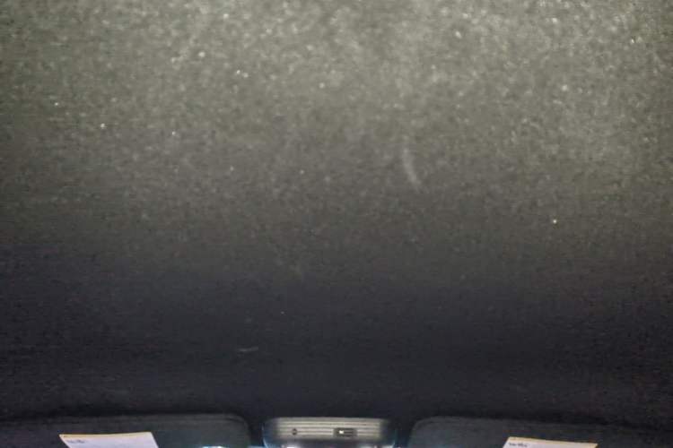Used Ford Mustang  Headliner