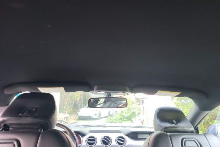 Used Ford Mustang  Headliner