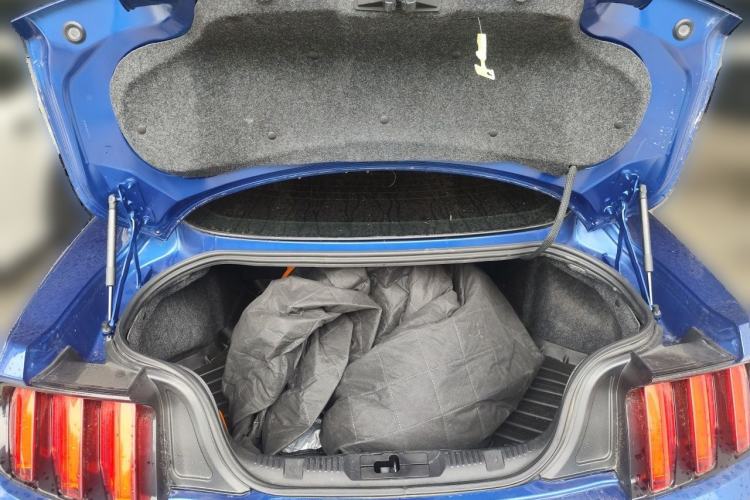 Used Ford Mustang  Trunk