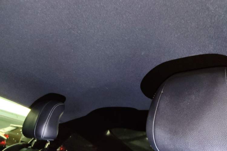 Used Ford Mustang 2016 2.3T Performance Edition Headliner