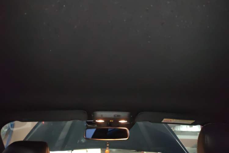 Used Ford Mustang 2016 2.3T Performance Edition Headliner
