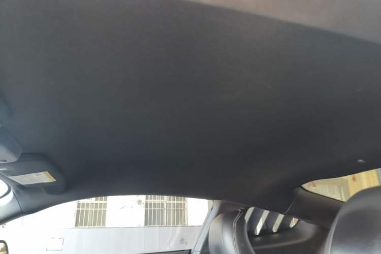 Used Ford Mustang 2016 2.3T Performance Edition Headliner