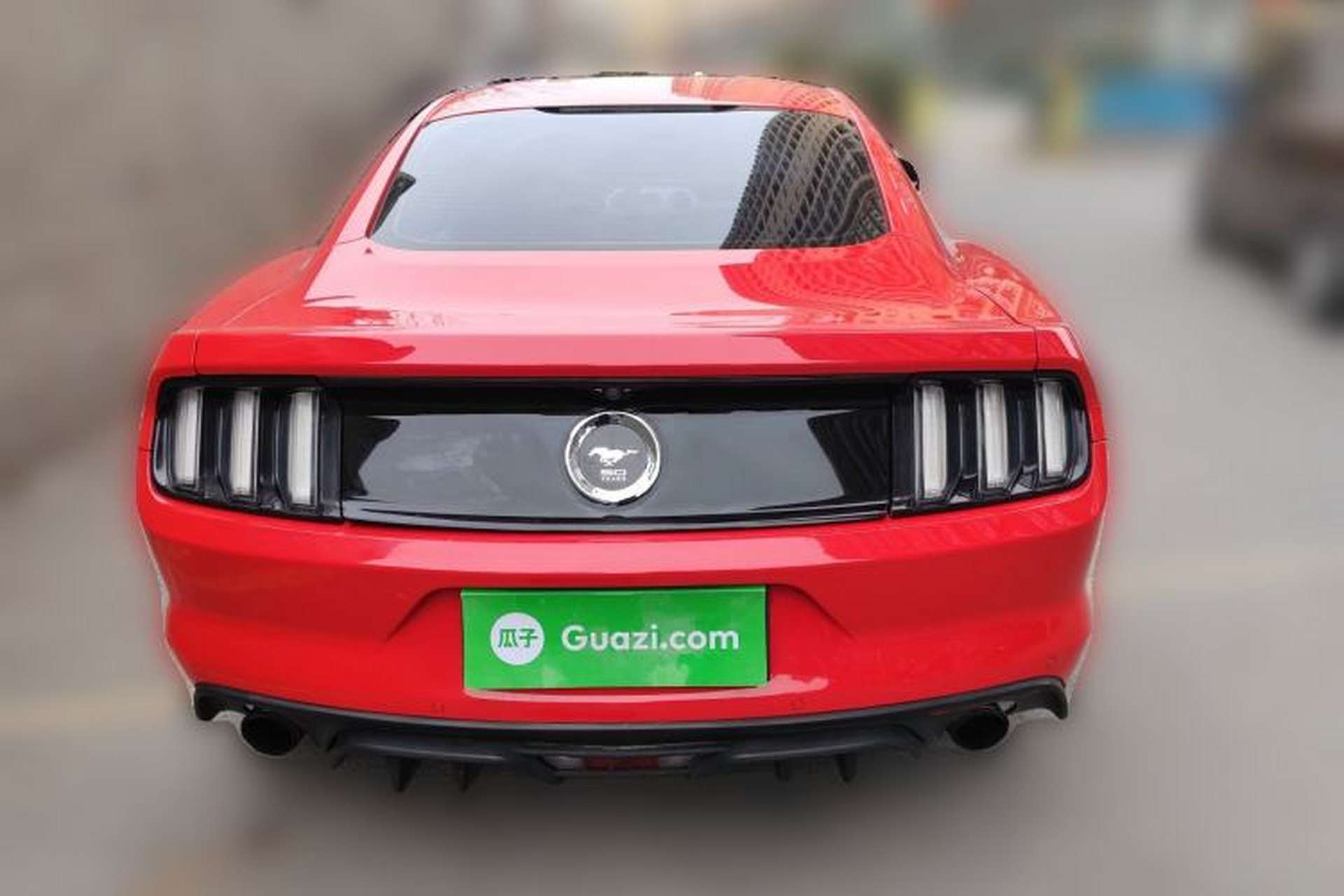 Used Ford Mustang 2016 2.3T Performance Edition Rear