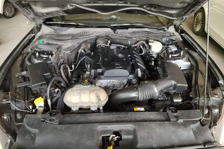 Used Ford Mustang 2016 2.3T Automatic Hardtop P-Version U.S. Specification Engine Bay