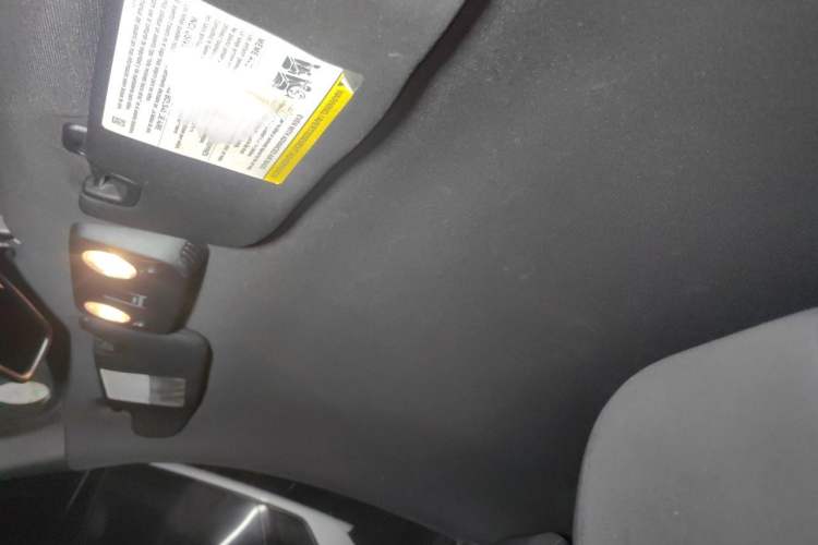 Used Ford Mustang 2016 2.3T Performance Edition Headliner
