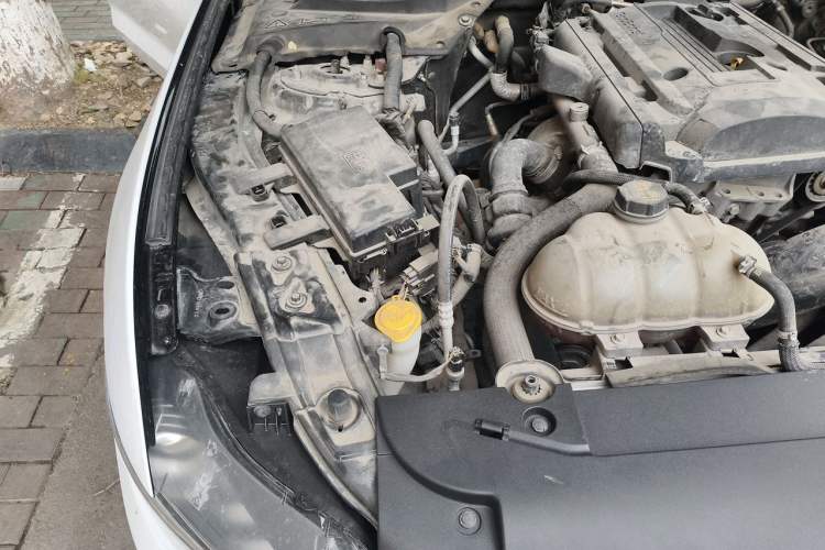 Used Ford Mustang 2016 2.3T Performance Edition Engine Bay Right
