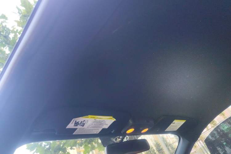 Used Ford Mustang  Headliner