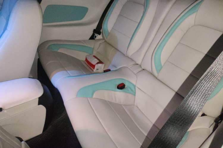 Used Ford Mustang 2016 2.3T Performance Edition Left Rear Seat