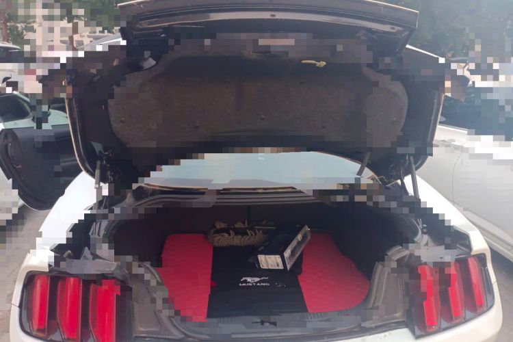 Used Ford Mustang 2016 2.3T Elite Edition Trunk