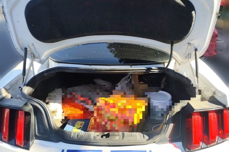 Used Ford Mustang  Trunk