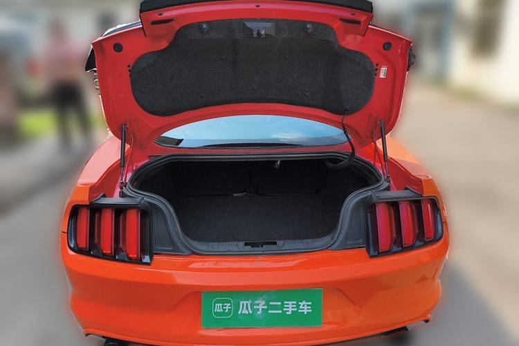 Used Ford Mustang  Trunk