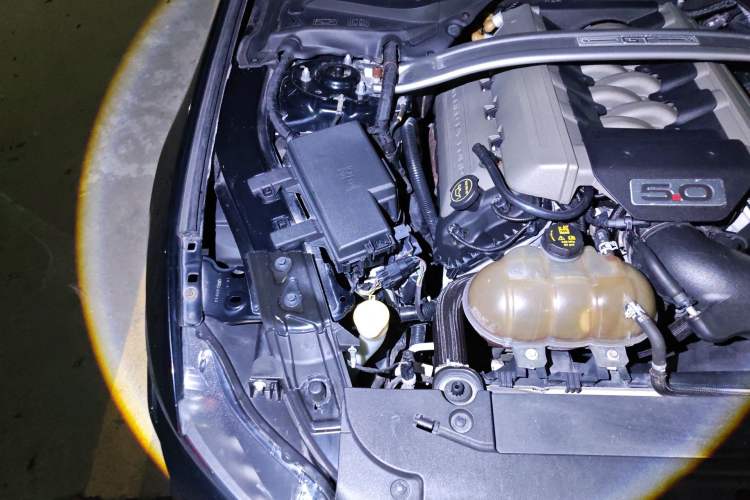 Used Ford Mustang 2017 5.0L GT Performance Edition Engine Bay Right