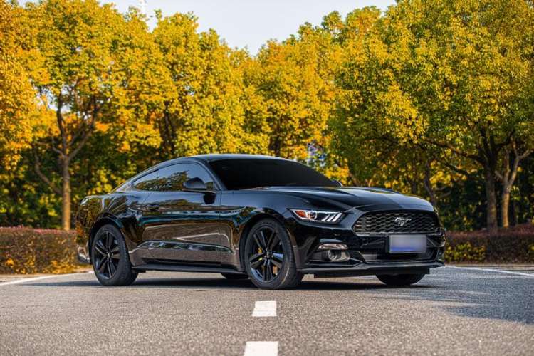 Used Ford Mustang 2017 2.3T Performance Edition Exterior 1