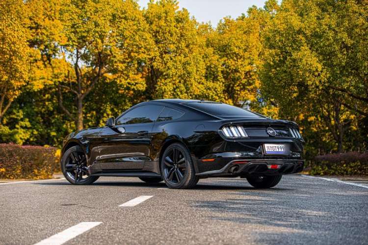 Used Ford Mustang 2017 2.3T Performance Edition Exterior 2