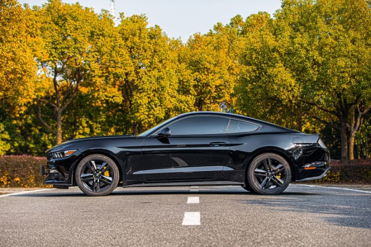 Used Ford Mustang 2017 2.3T Performance Edition Exterior 3