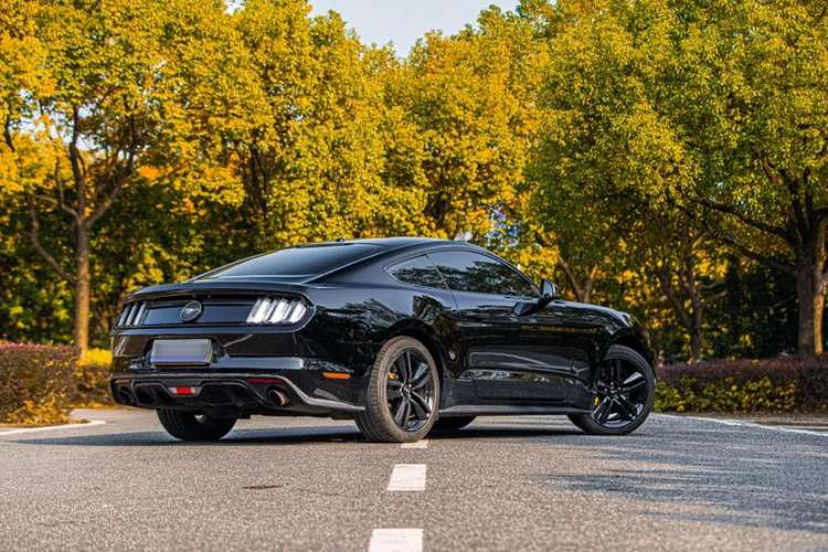 Used Ford Mustang 2017 2.3T Performance Edition Exterior 4