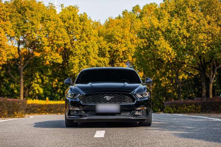 Used Ford Mustang 2017 2.3T Performance Edition Exterior 8