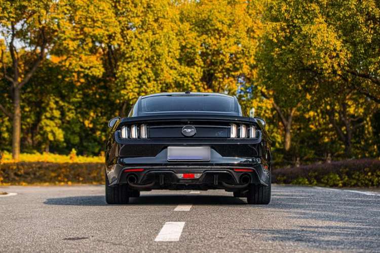 Used Ford Mustang 2017 2.3T Performance Edition Exterior 9