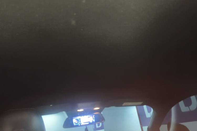 Used Ford Mustang 2017 2.3T Performance Edition Headliner
