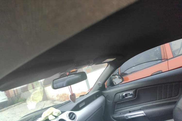 Used Ford Mustang  Headliner