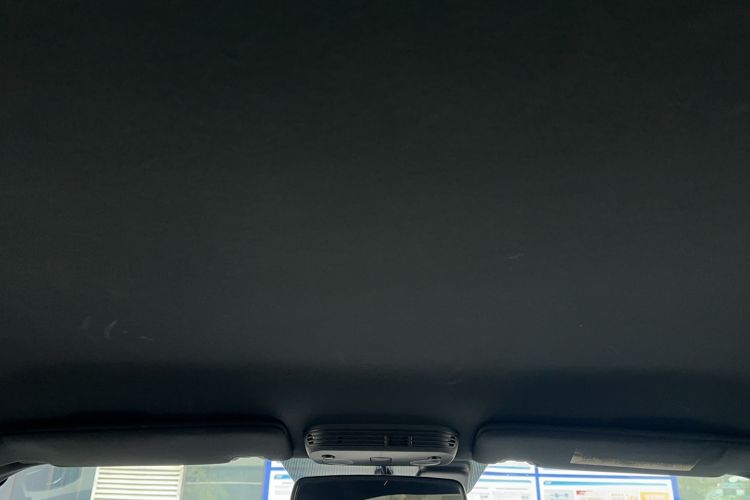 Used Ford Mustang 2017 2.3T Performance Edition Headliner