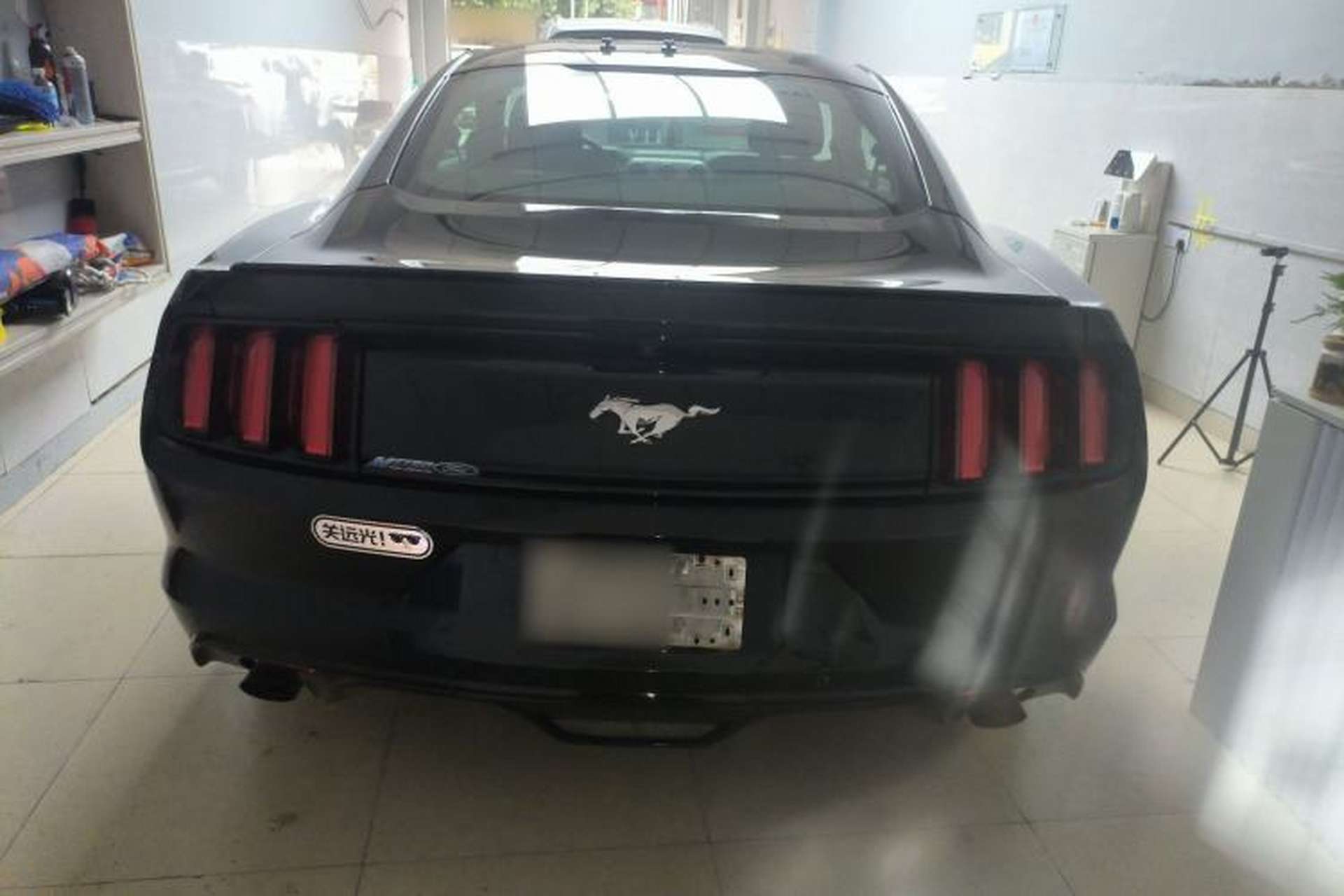 Used Ford Mustang 2017 2.3T P-Version U.S. Specification Rear