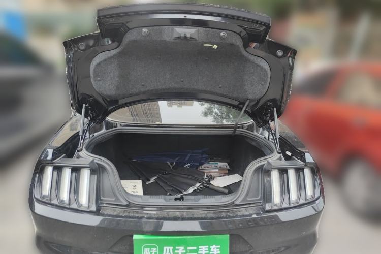 Used Ford Mustang  Trunk