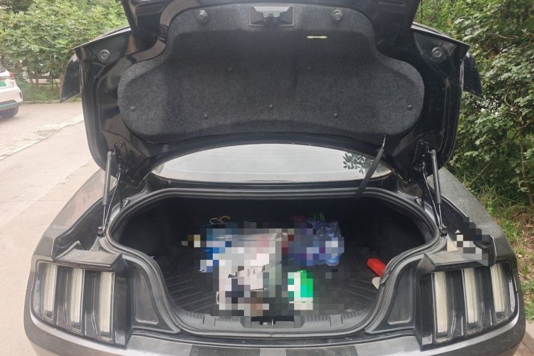 Used Ford Mustang 2017 2.3T Performance Edition Trunk