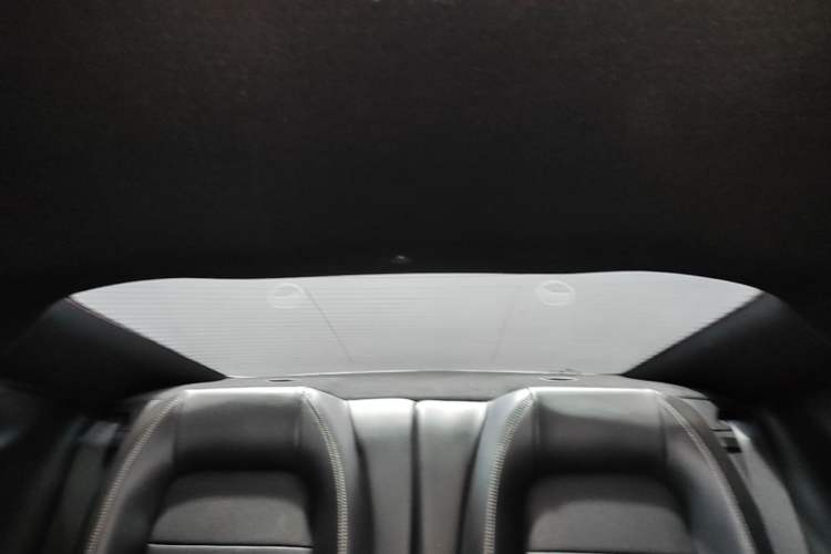 Used Ford Mustang 2017 2.3T Performance Edition Headliner