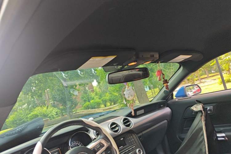 Used Ford Mustang  Headliner