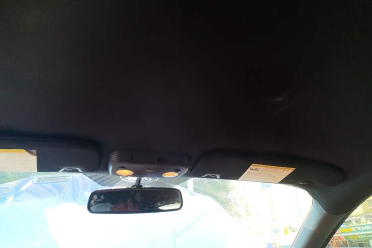 Used Ford Mustang 2017 2.3T Performance Edition Headliner