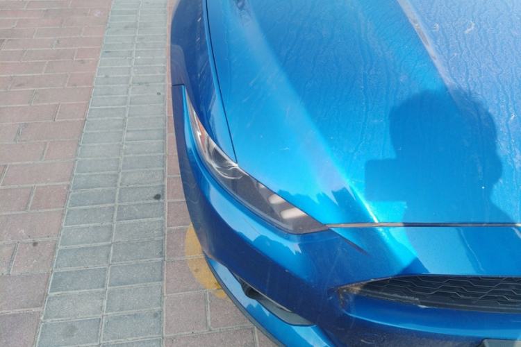 Used Ford Mustang 2017 2.3T Performance Edition Interior 4