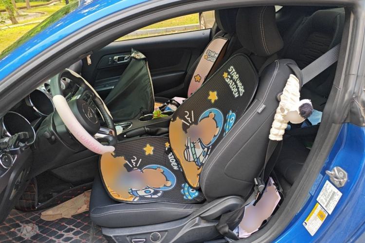 Used Ford Mustang  Left Front Seat